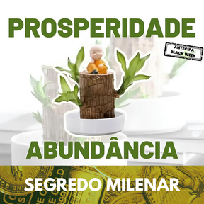 Planta em Vaso - Portal do Dragão Dourado - Abundância e Prosperidade