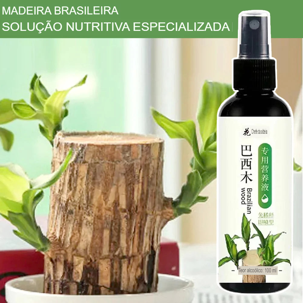 Solução Nutritiva de Fertilizantes Líquidos para Cultivo Hidropônico de Flores Nutrientes